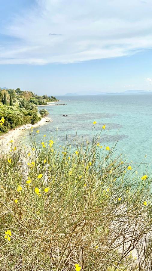 Thalassa Hotel Paleros Εξωτερικό φωτογραφία